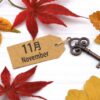 11月12月診察スケジュール