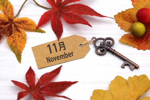 11月12月診察スケジュール